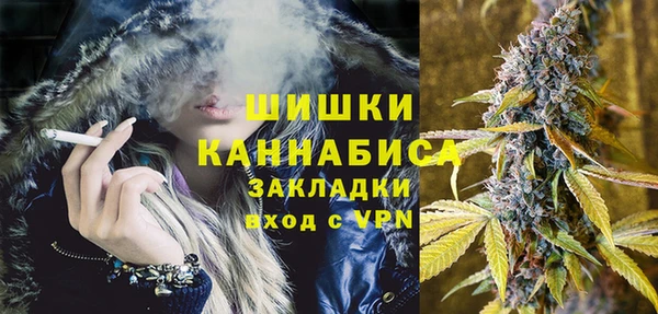 стаф Володарск