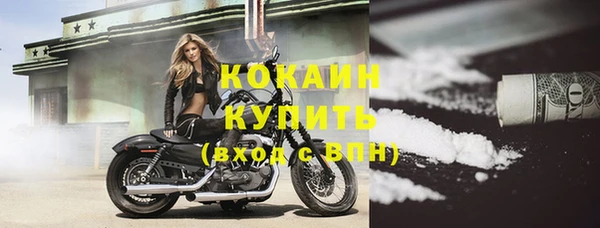индика Вязники