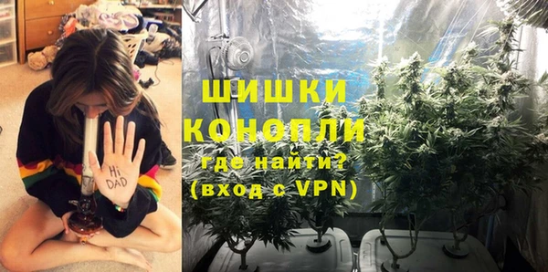 ешки Вяземский