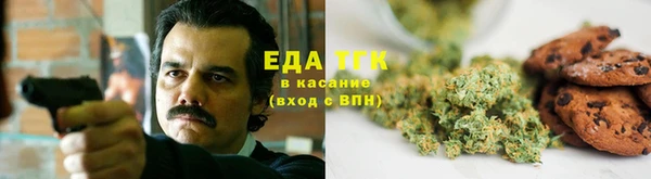 индика Вязники