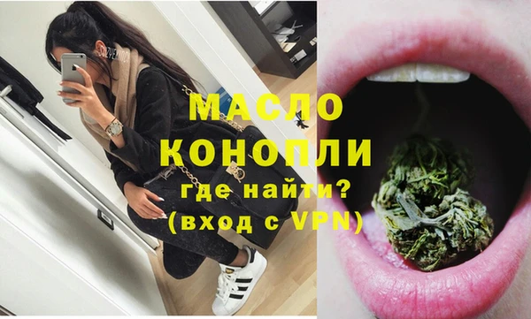 индика Вязники