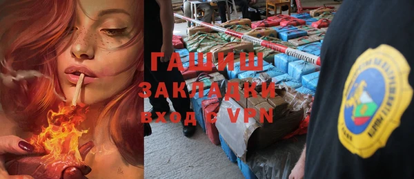 индика Вязники