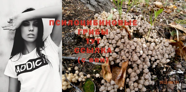 сатива Вязьма